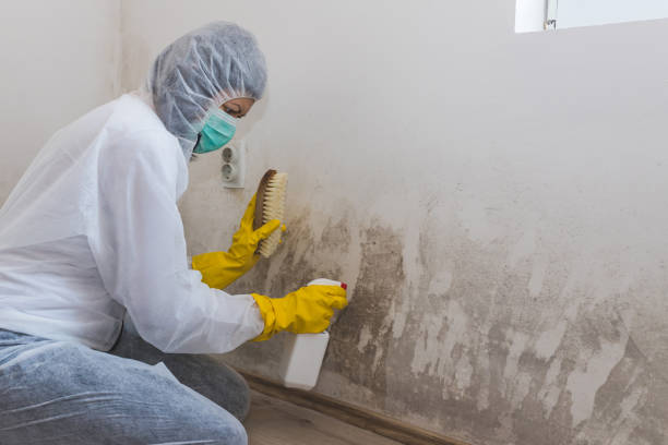 Best Water Damage & Mold Remediation  in Mcfarland, CA