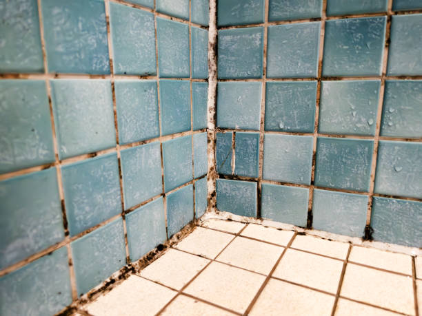  Mcfarland, CA Mold Removal Pros