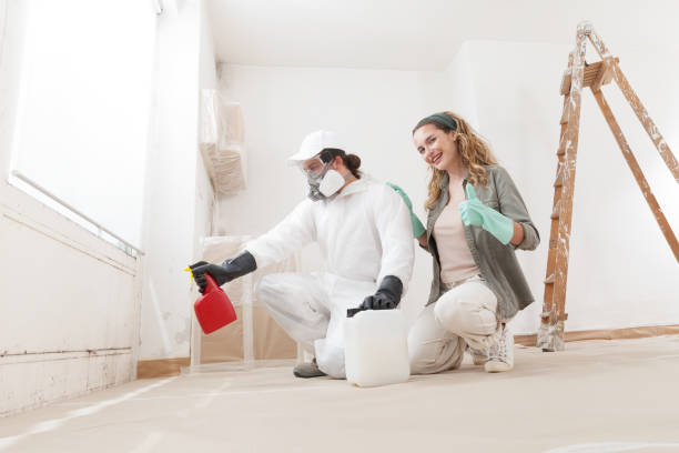 Best Attic Mold Removal  in Mcfarland, CA