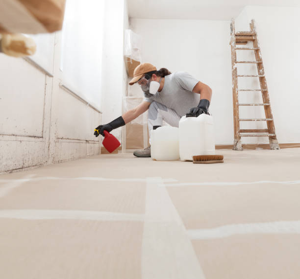 Best Basement Mold Removal  in Mcfarland, CA