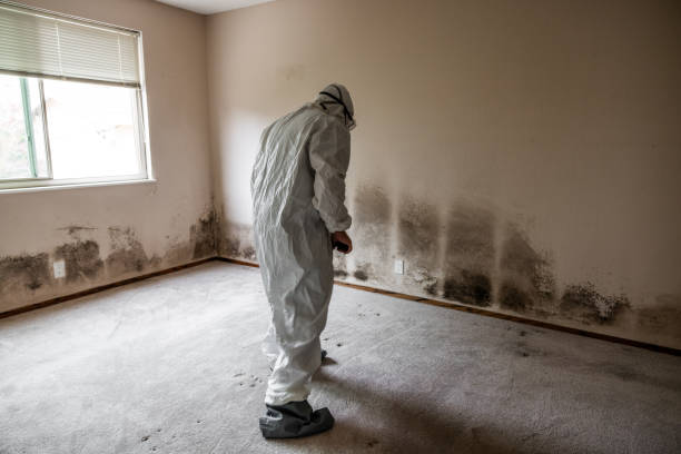 Best Commercial Mold Inspection  in Mcfarland, CA